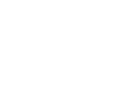 Best Web Developer Award