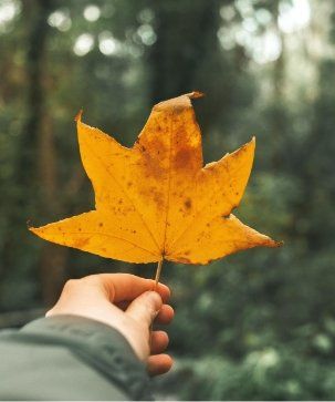 A leaf - your feelings