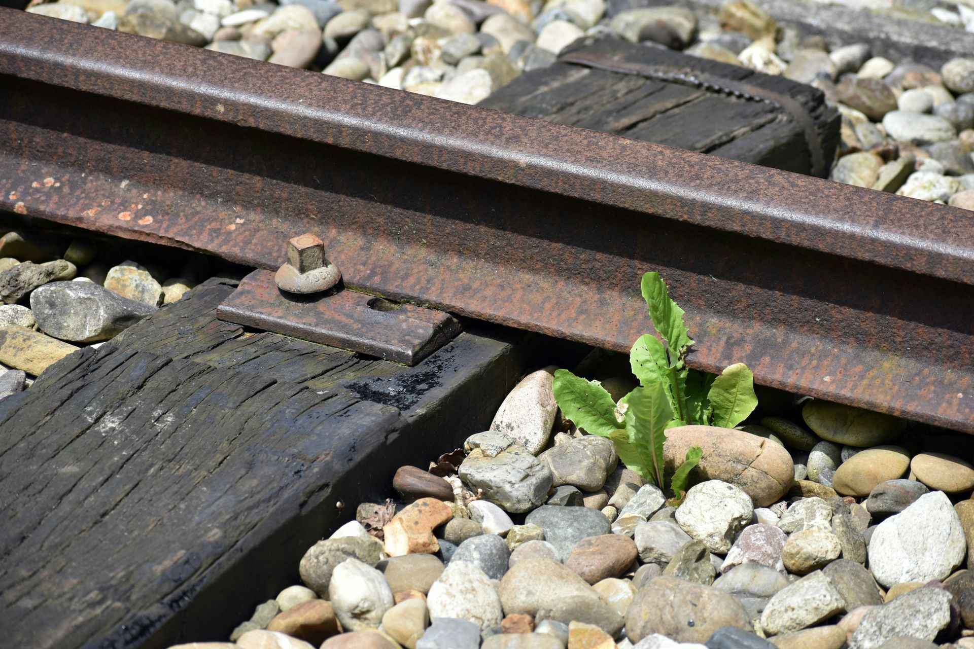 Train rail connected to timber sleeper with one bolt missing