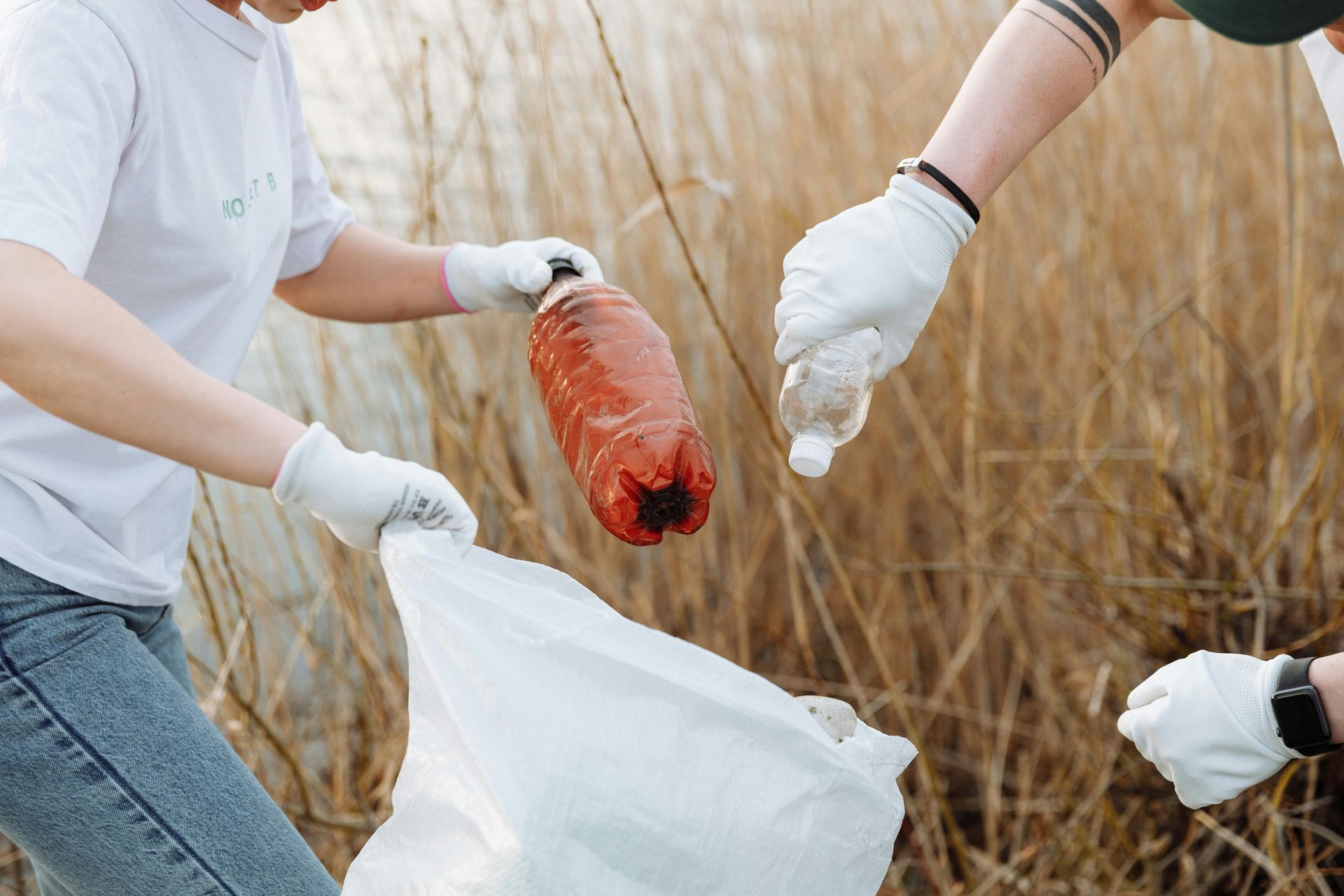 Two people wearing gloves picking up plastic bottles and putting them in a white trash bag.