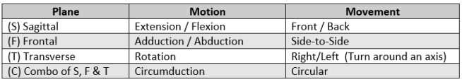 a table showing the different types of movement