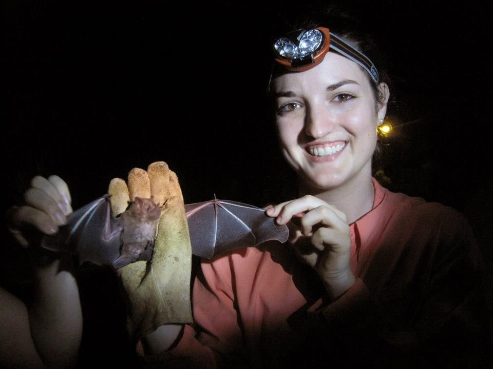 Rescuing Ocala Wildlife in Ocala Florida