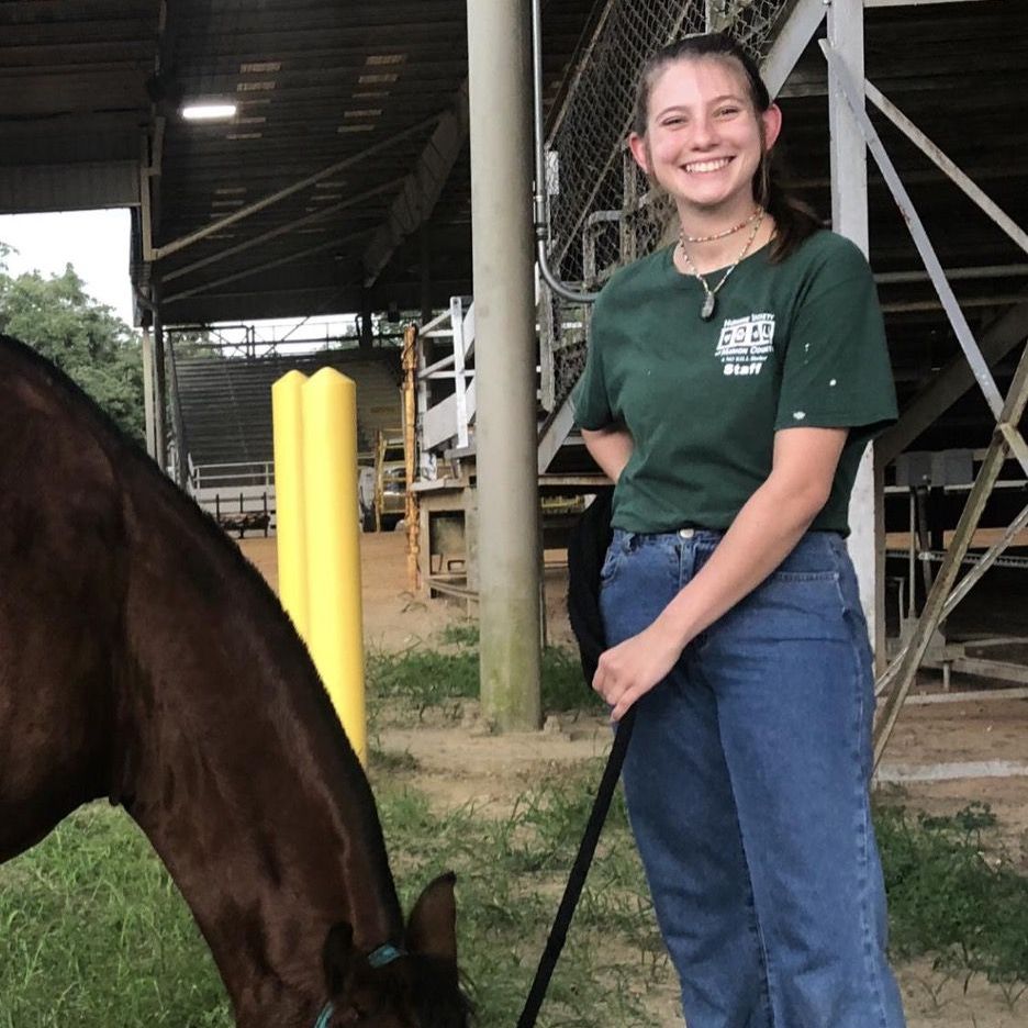 Rescuing Ocala Wildlife in Ocala Florida