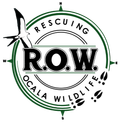 Rescuing Ocala Wildlife - Wildlife Rescue in Ocala and Central Florida