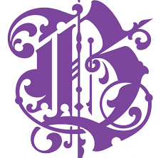 Rescuing Ocala Wildlife in Ocala Florida