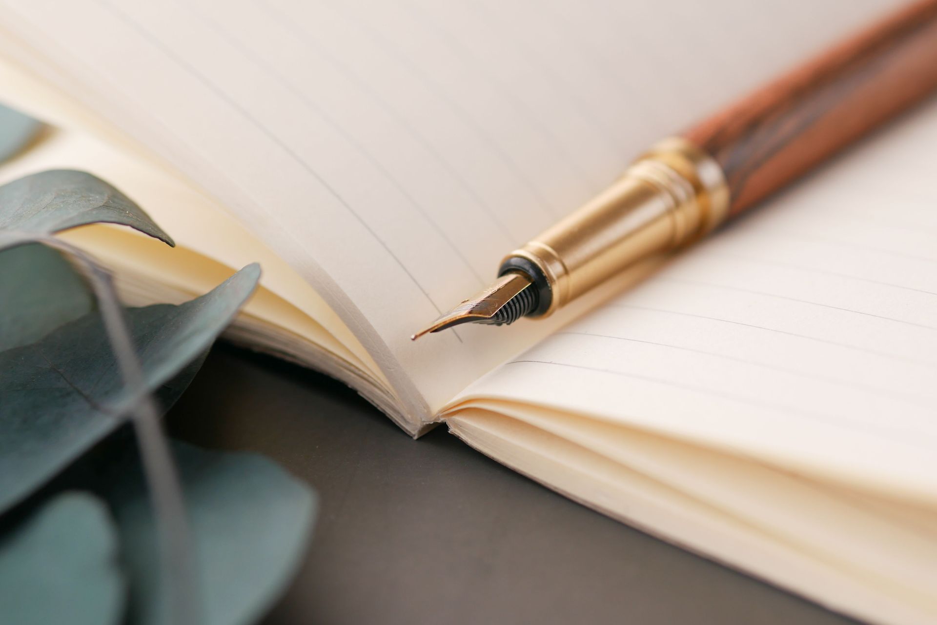Close-up of an open notebook with a fountain pen resting on lined pages and a plant leaf nearby