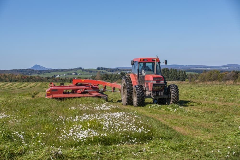 A Red Tractor Is Cutting Grass in A Field — Thompson's Farm Gear In Kempsey, NSW