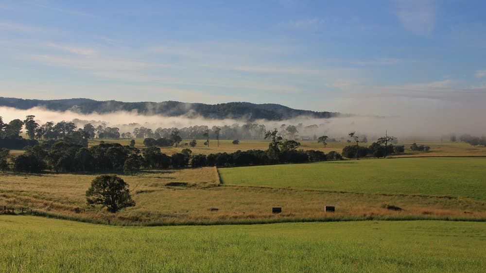 A Foggy Field with Trees and Mountains in The Background — Thompson's Farm Gear In Wauchope, NSW