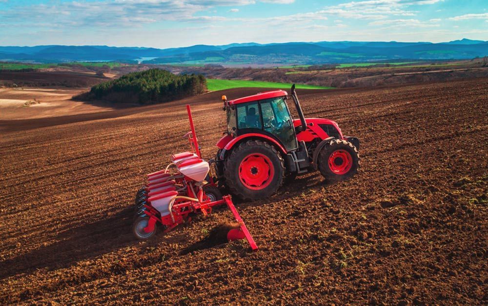 Expansive Agricultural Farmland Landscape — Thompson's Farm Gear In Kempsey, NSW