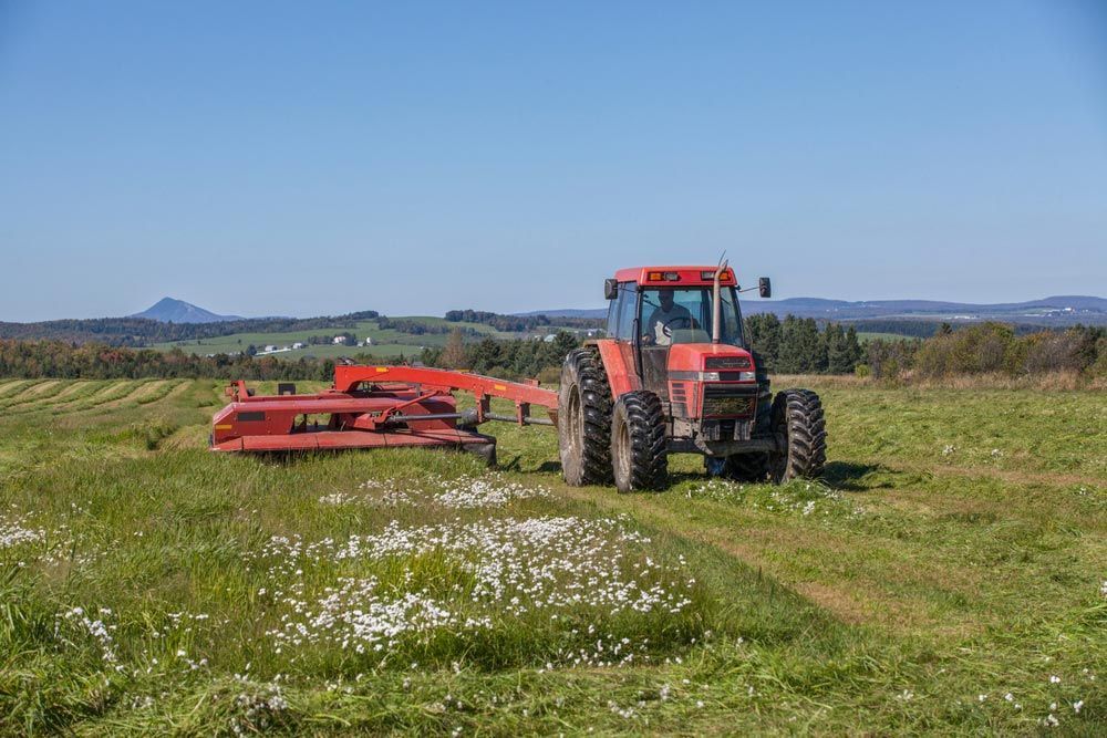Harvesting Hay in Fields on a Beautiful Summer Day — Thompson's Farm Gear In Wauchope, NSW