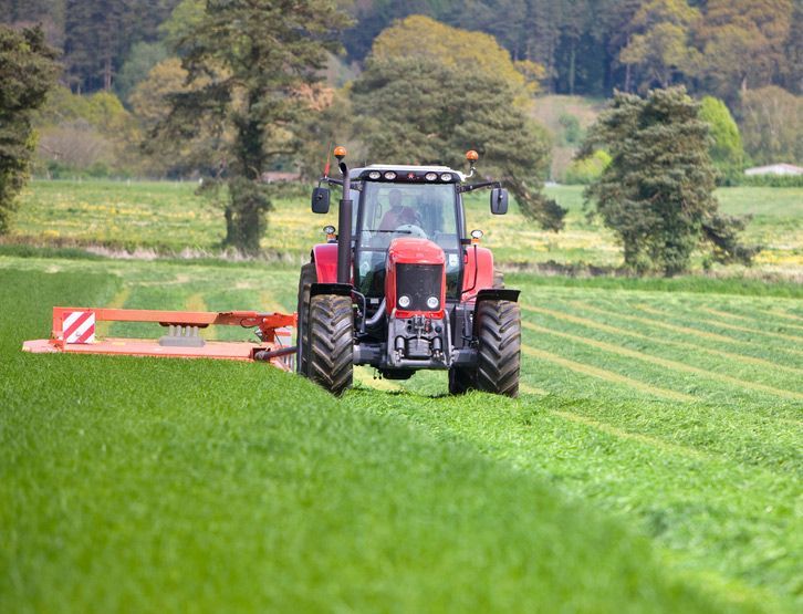 Tractor Mowing a Farm for Silage Amidst Lush Grass Fields — Thompson's Farm Gear In Wauchope, NSW