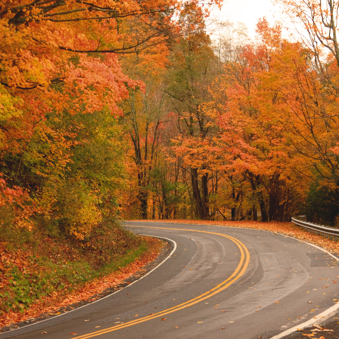 Embrace the Fall Season on Long Island