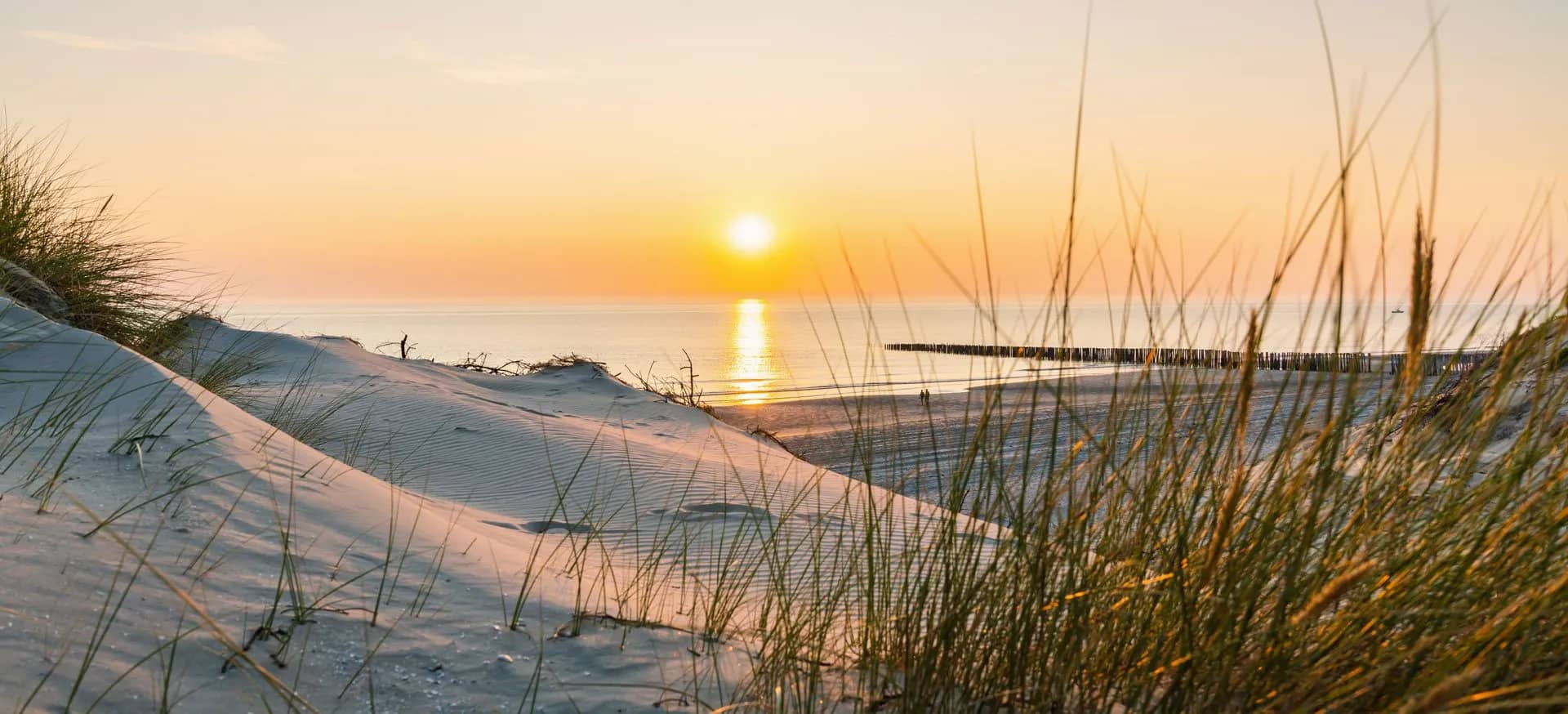 Peconic Wellness is located in Quoge, New York