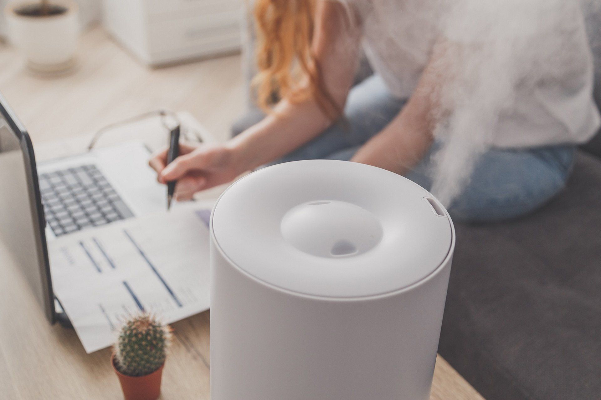 Humidifiers and Dehumidifiers