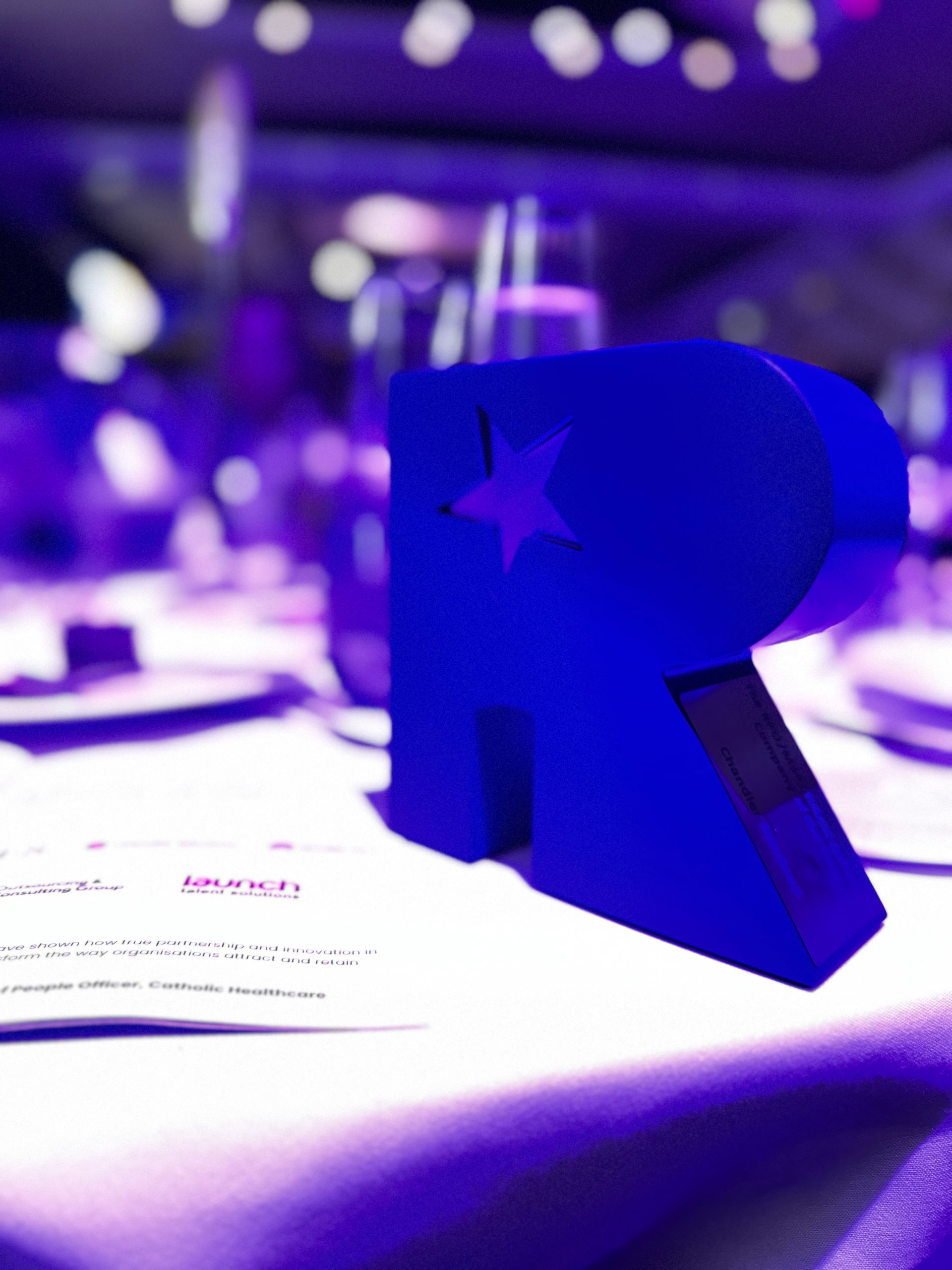 Chandler Macleod's 2025 TIARA Award for RPO/MSP/Talent Solutions Company of the Year.