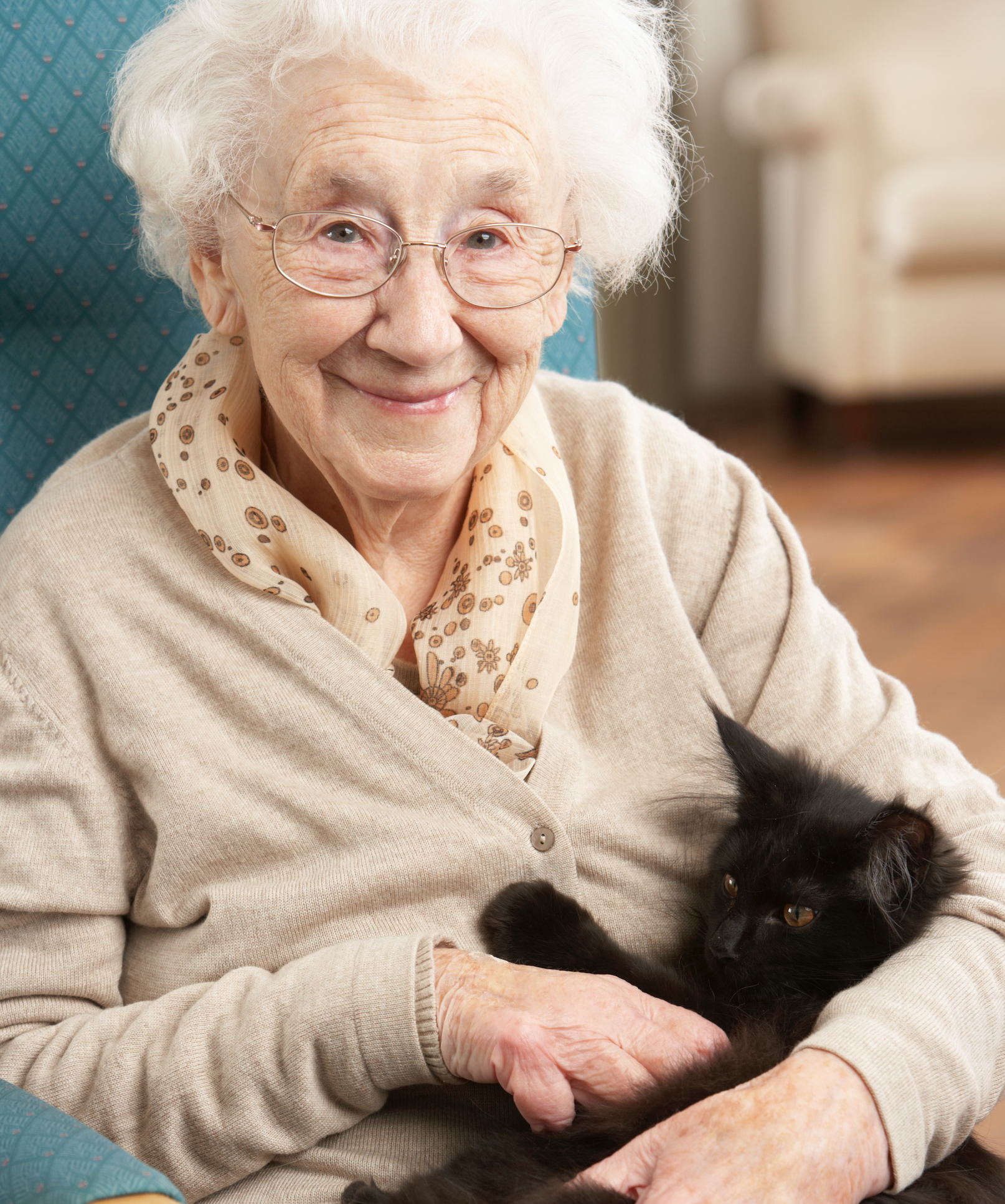 An elderly woman is sitting in a chair holding a black cat