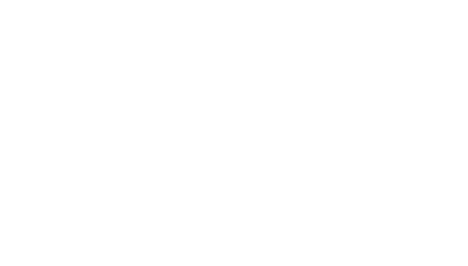 Rio Fast Security logo