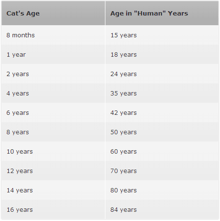 Cat's Age Calendar — Veterinarian in Marion, IA