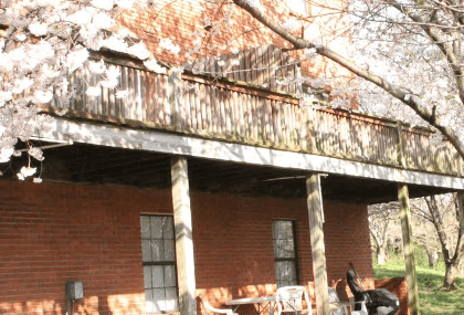 650 E. Broad Street — Cookeville, TN — Buckner Properties