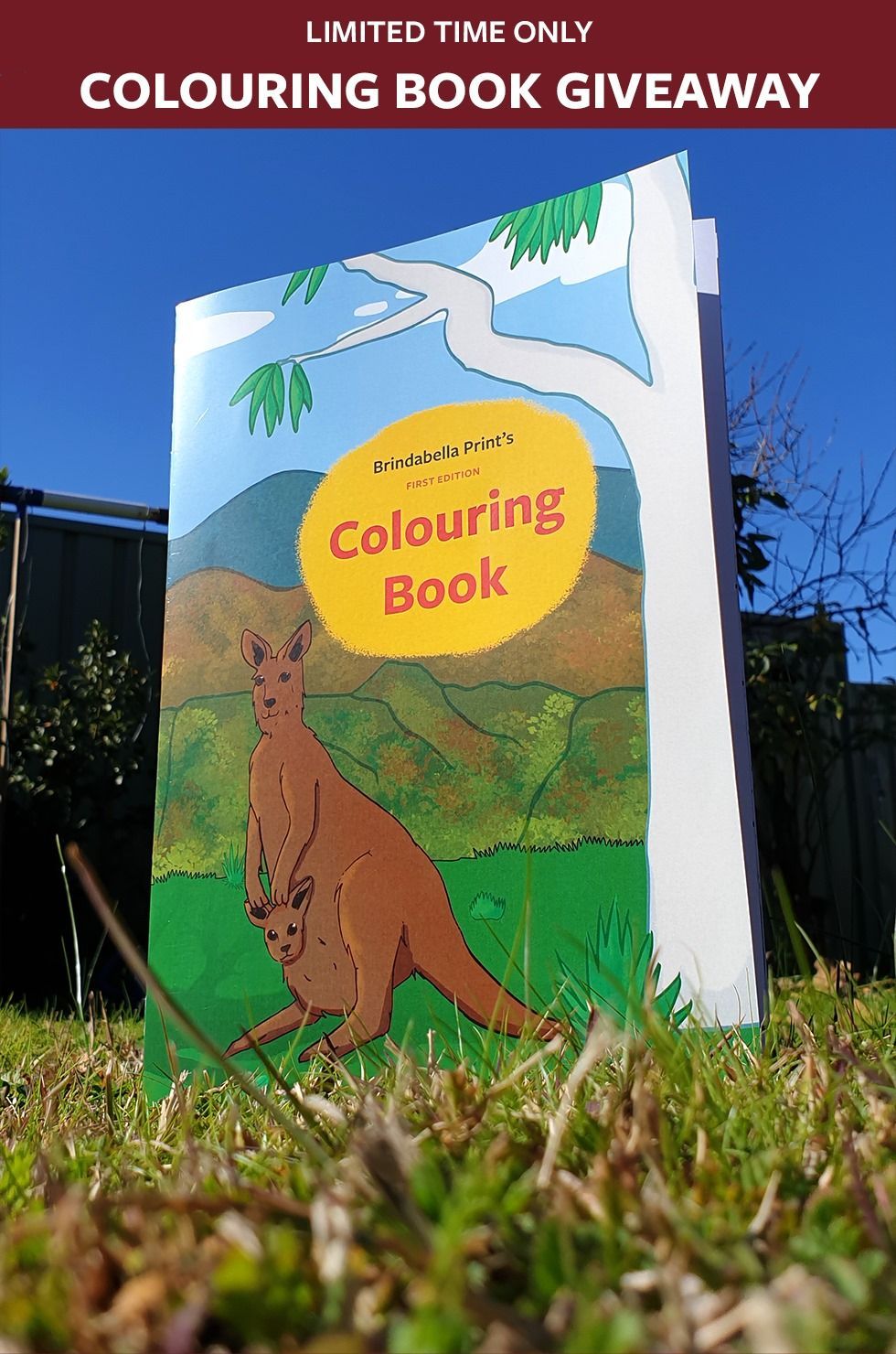 A Colouring Book With A Kangaroo On The Cover — Brindabella Print In Tuggeranong, ACT