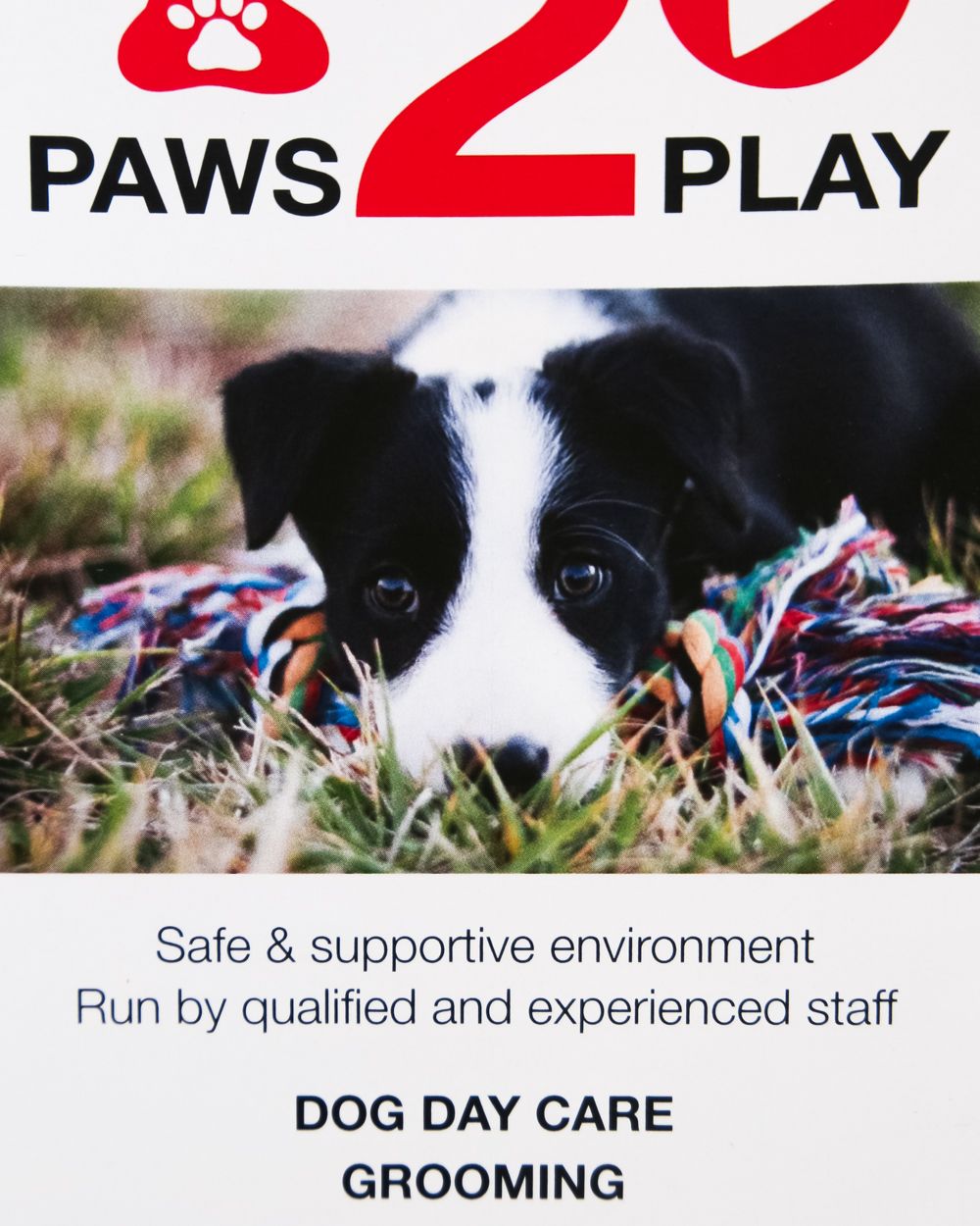 A Black and White Dog is Playing With a Toy in the Grass — Brindabella Print In Belconnen, ACT