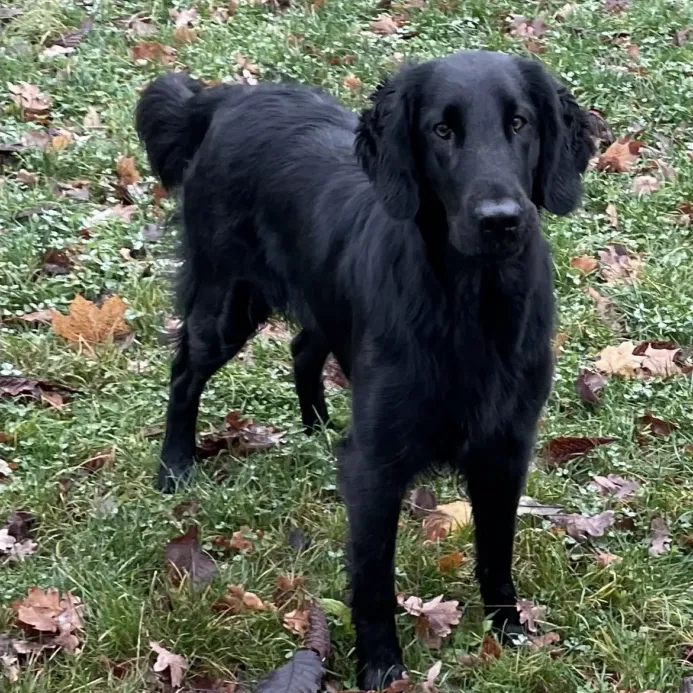 Heather Blazing Billie Eilish