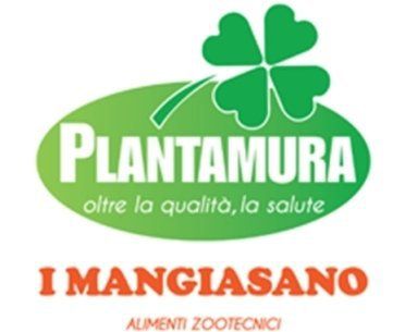 logo Plantamura