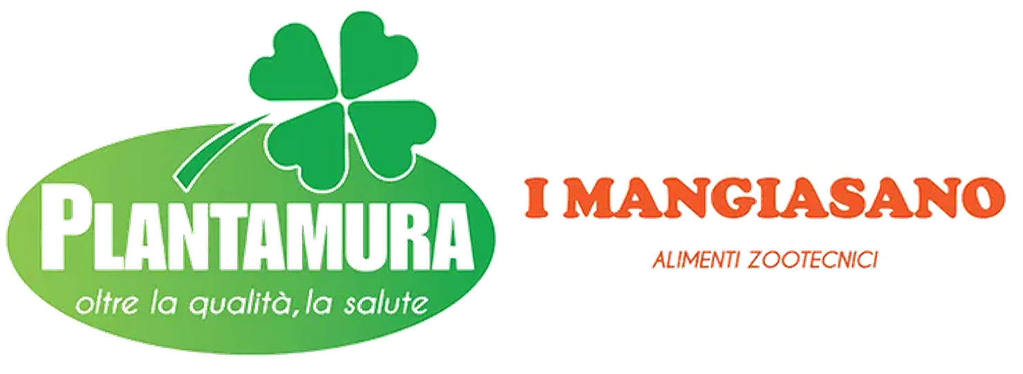Logo for Plantamura featuring a green four-leaf clover, the text 
