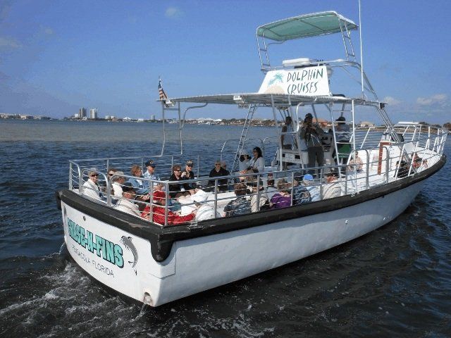 dolphin cruise boat