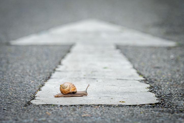 Snail crossing a road