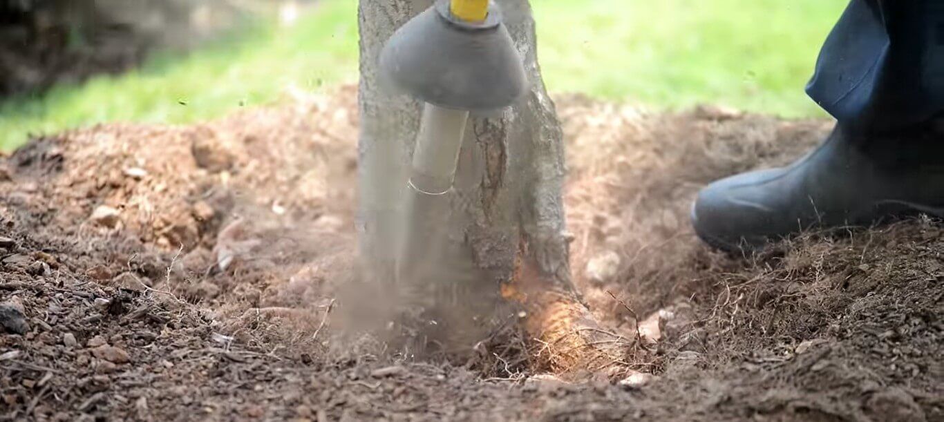 Air spading is crucial for a tree's health and growth and is best left to the professionals