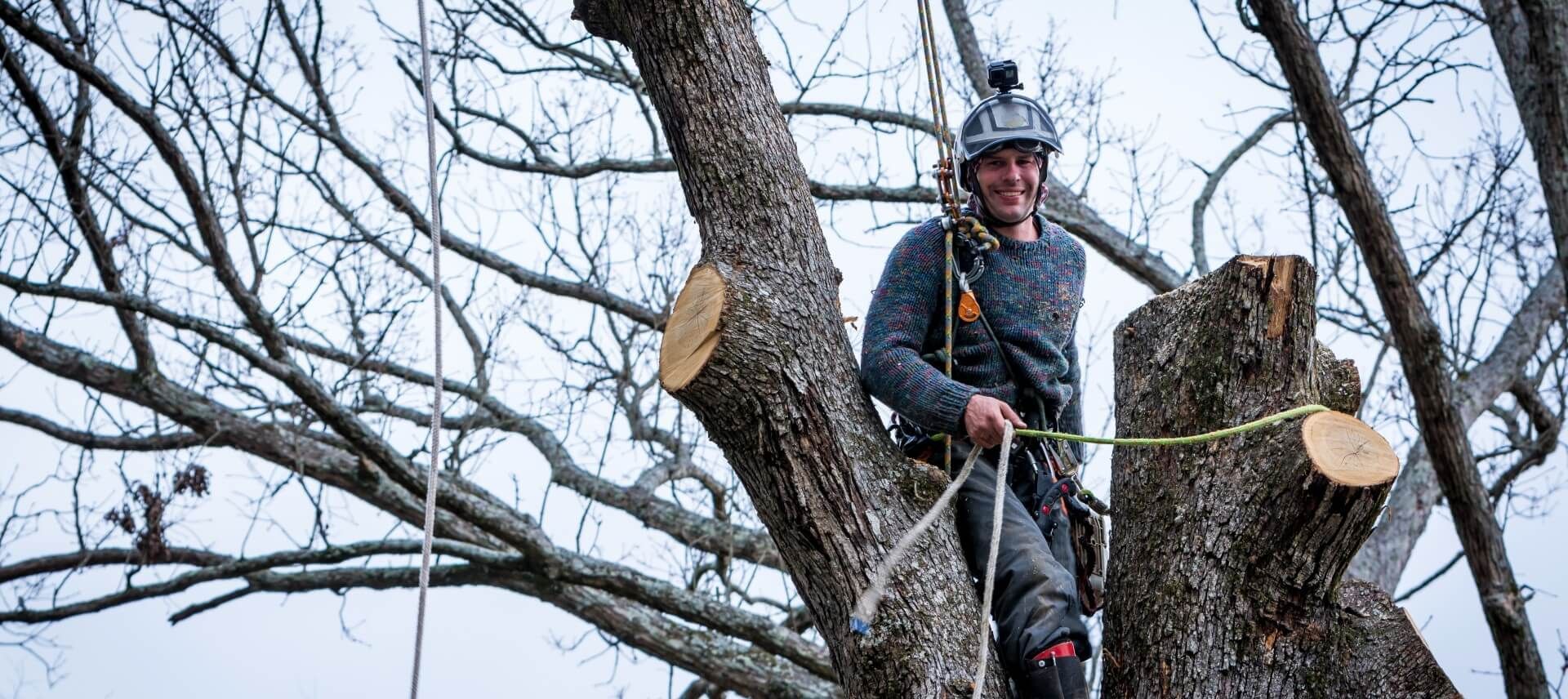 A smiling arborist working on top of a tree while on duty