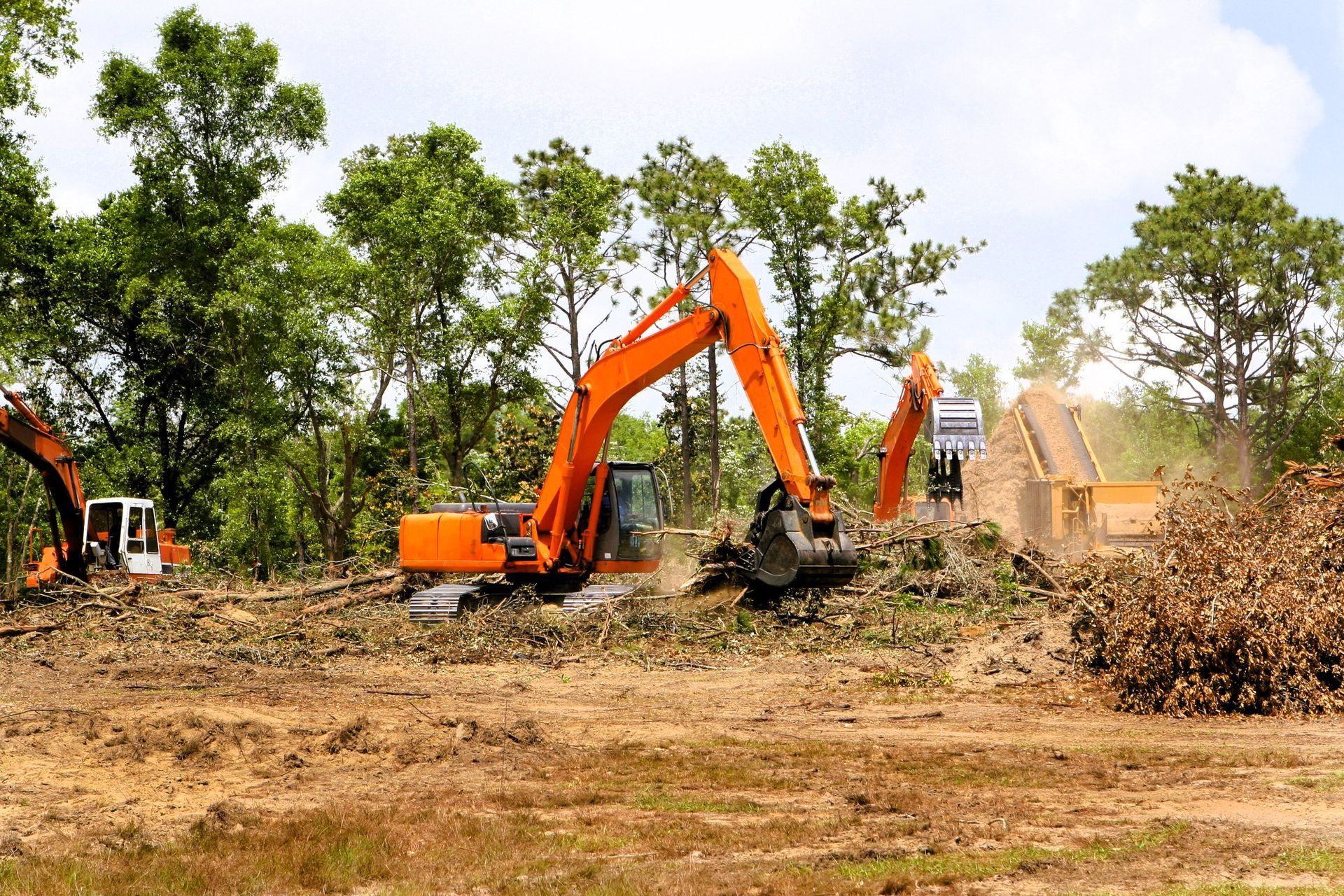 professional land clearing with orange excavators uprooting trees and debris in a forested area