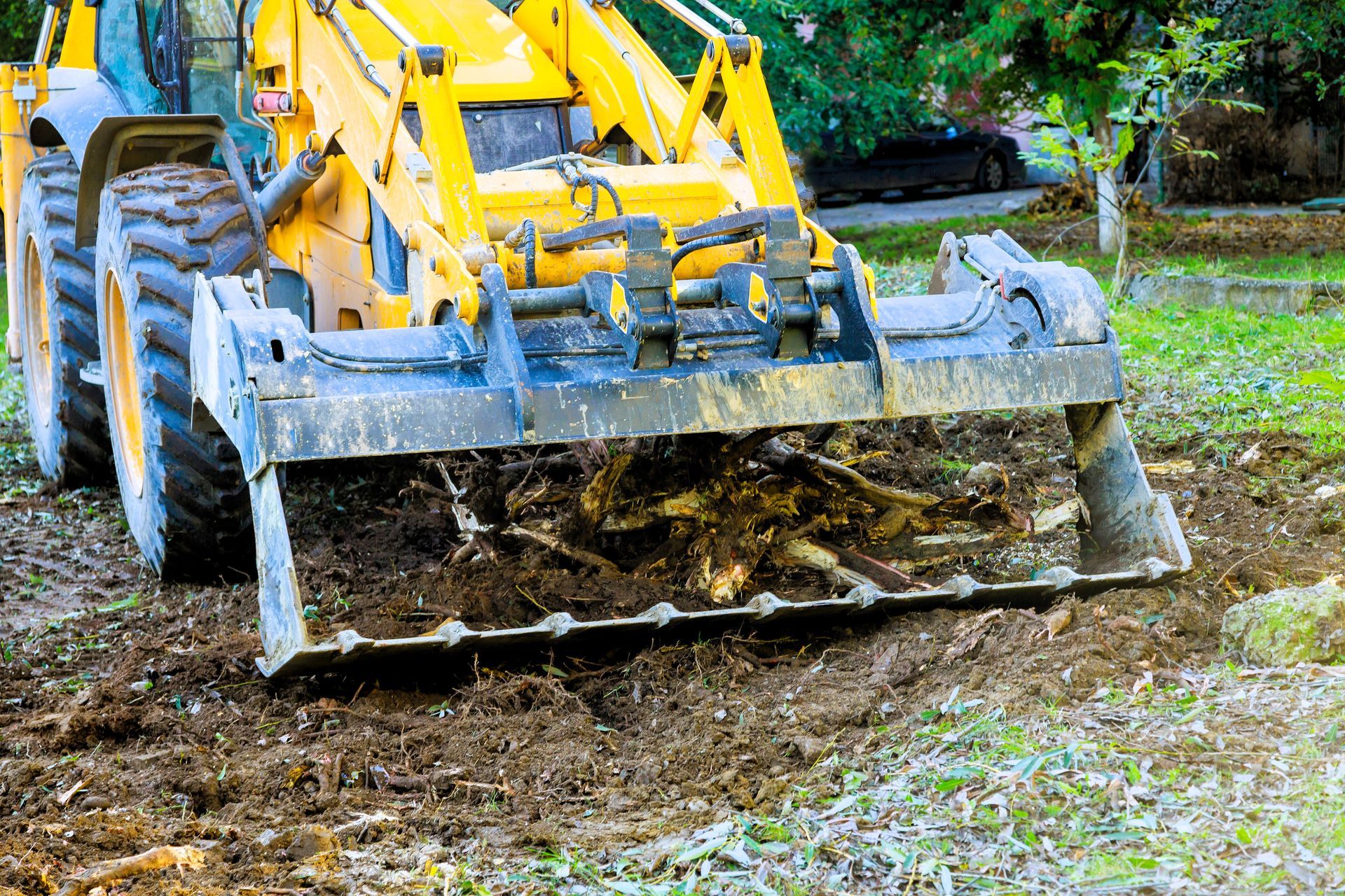 Land clearing professional cleaning up and removing tree branches