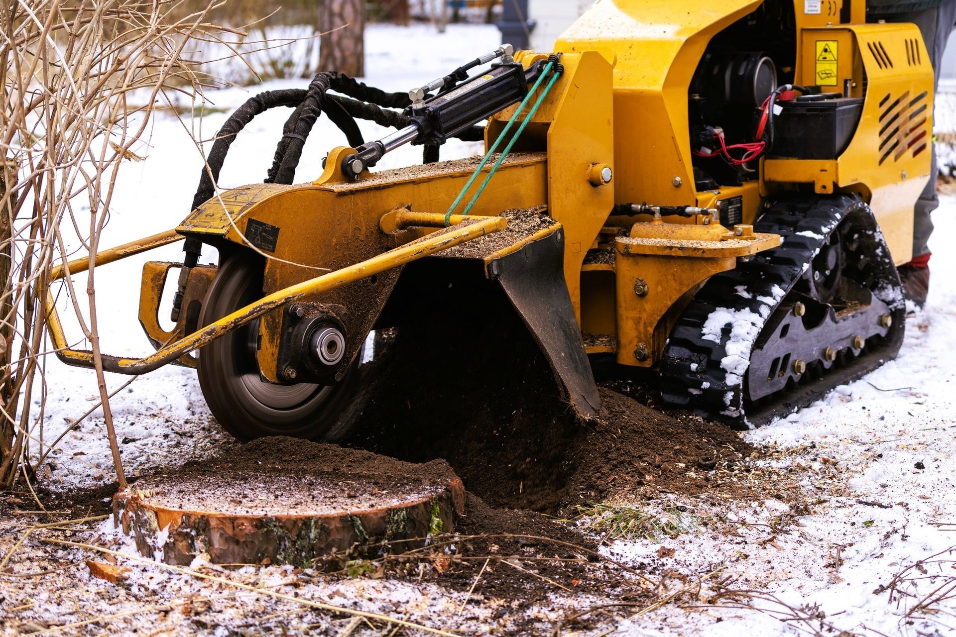 Stump grinding in action with flying shavings and snow in the background