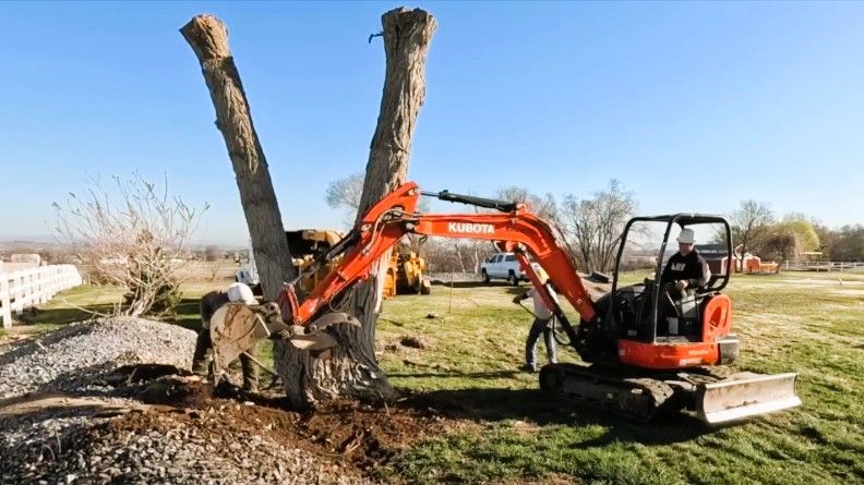 expert tree removal with kubota excavator and workers clearing stump debris