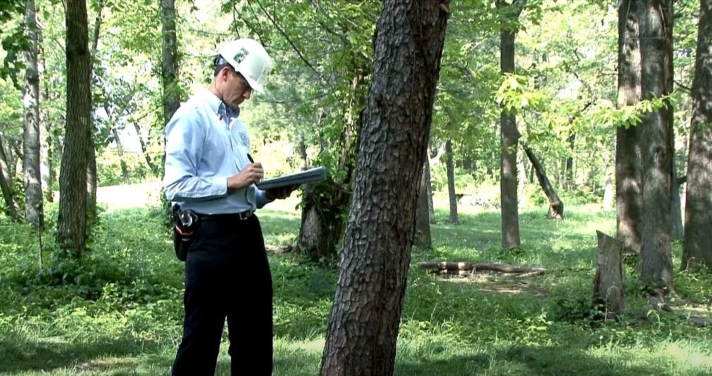 Kanata tree arborist conducting a tree risk assessment.