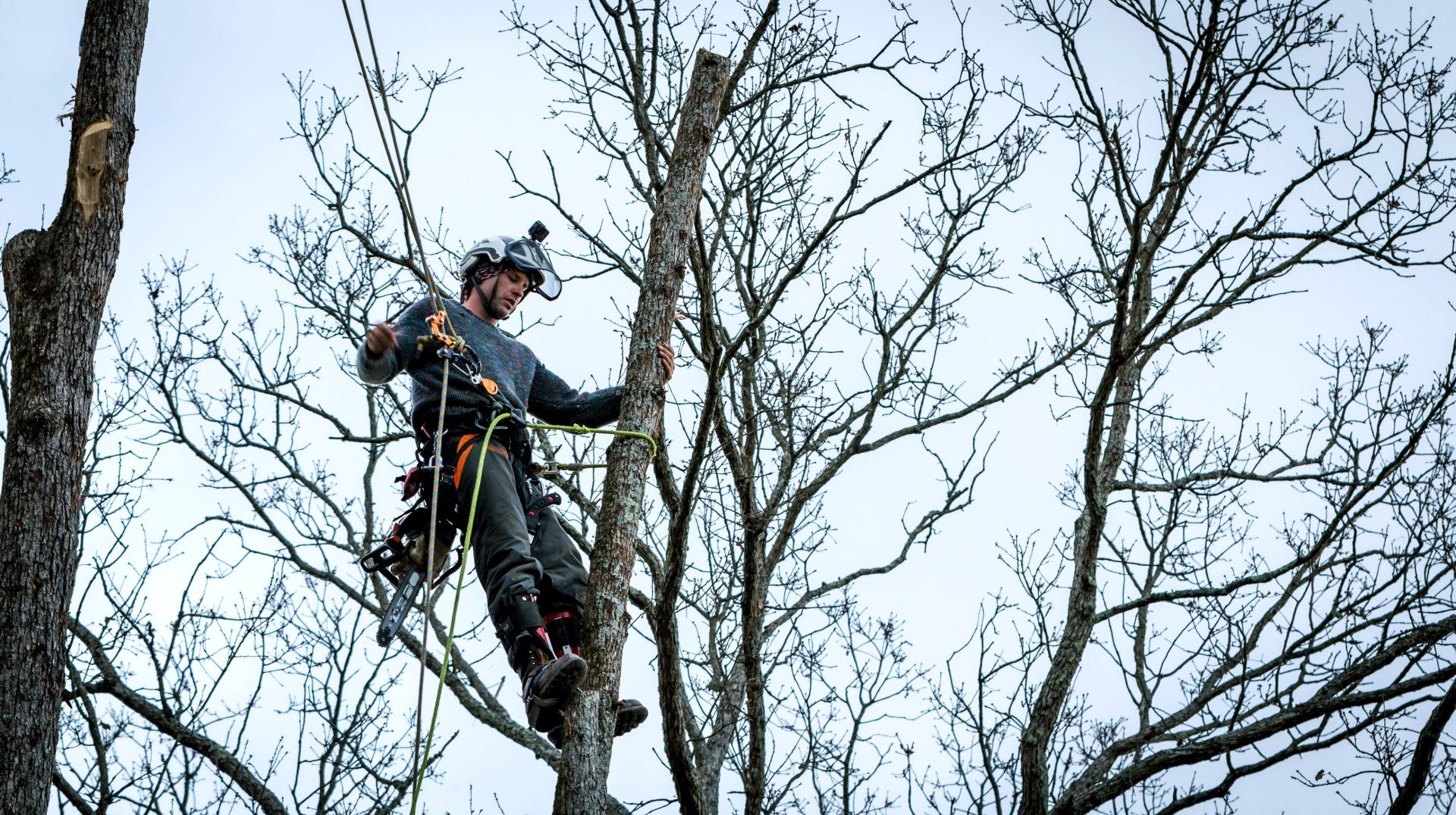 An arborist is cutting a tree with a chainsaw.
