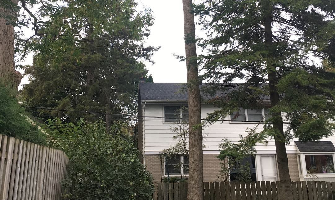 tree needing to be removed because of proximity to house