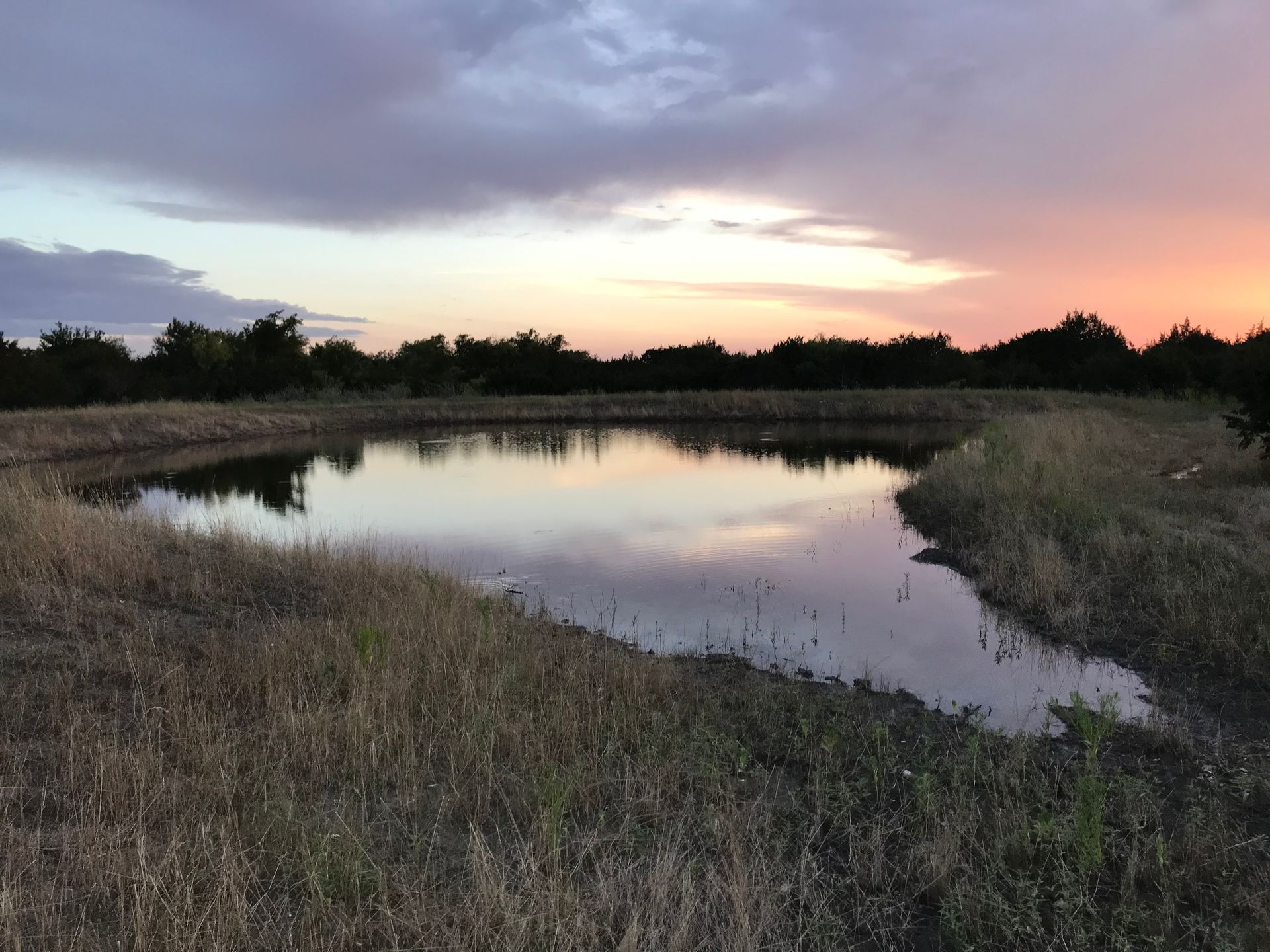 a large body of water surrounded by grass and rocks