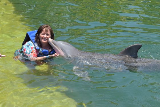 Woman smiles as a dolphin kisses her face in clear, green water.