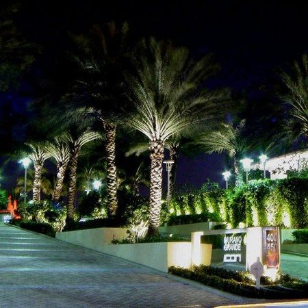 Venue With Landscape — Miami, FL — G & T Electrical Contractors
