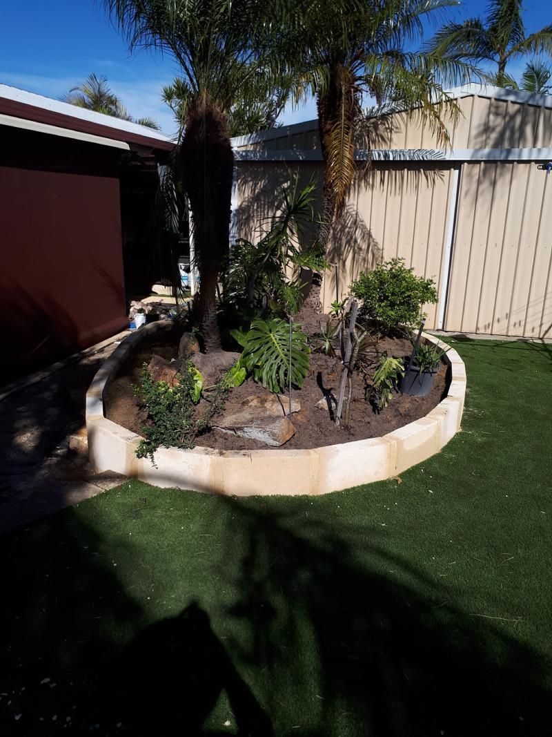 outdoor lawn with small plants