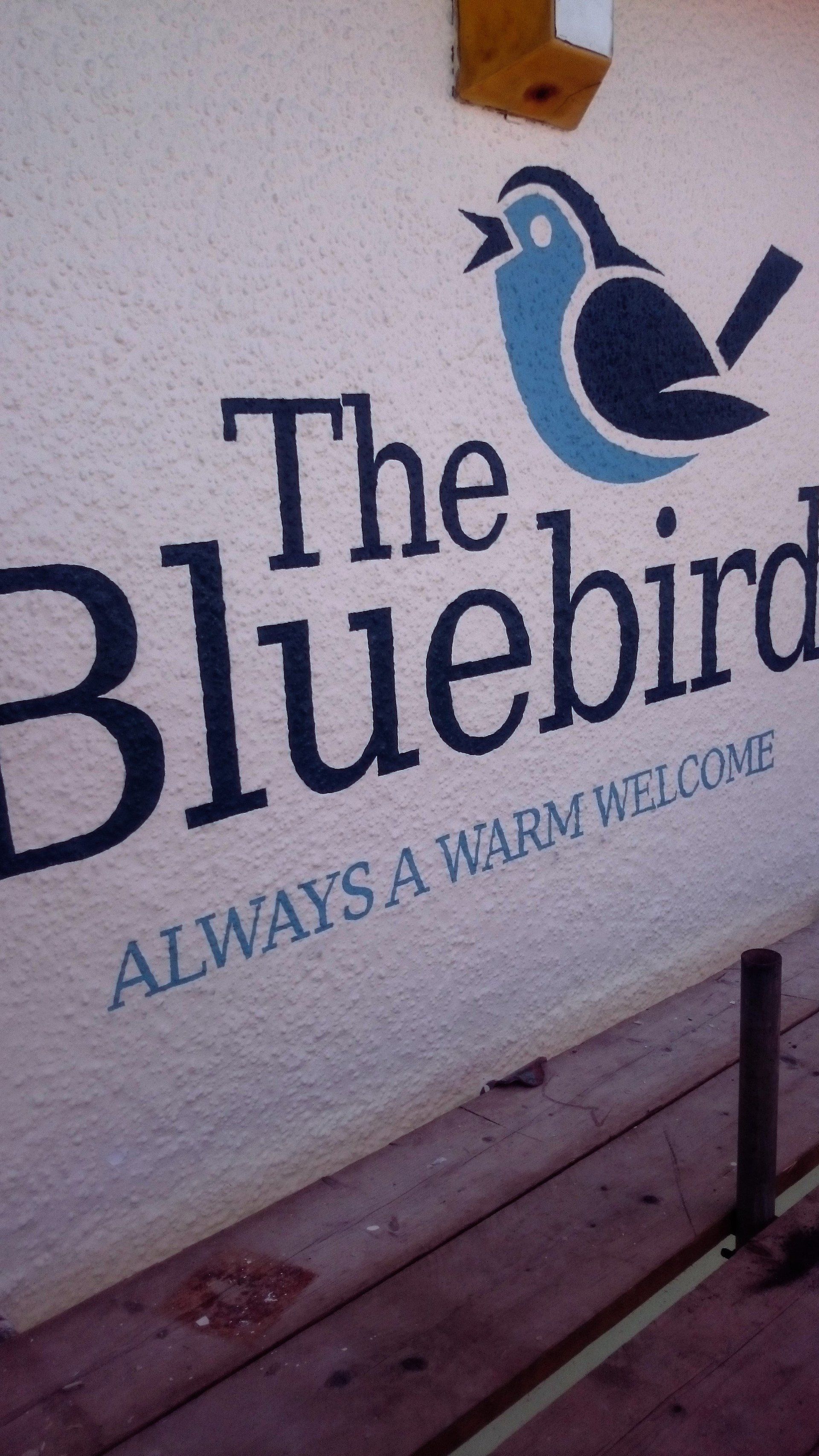 The Bluebird