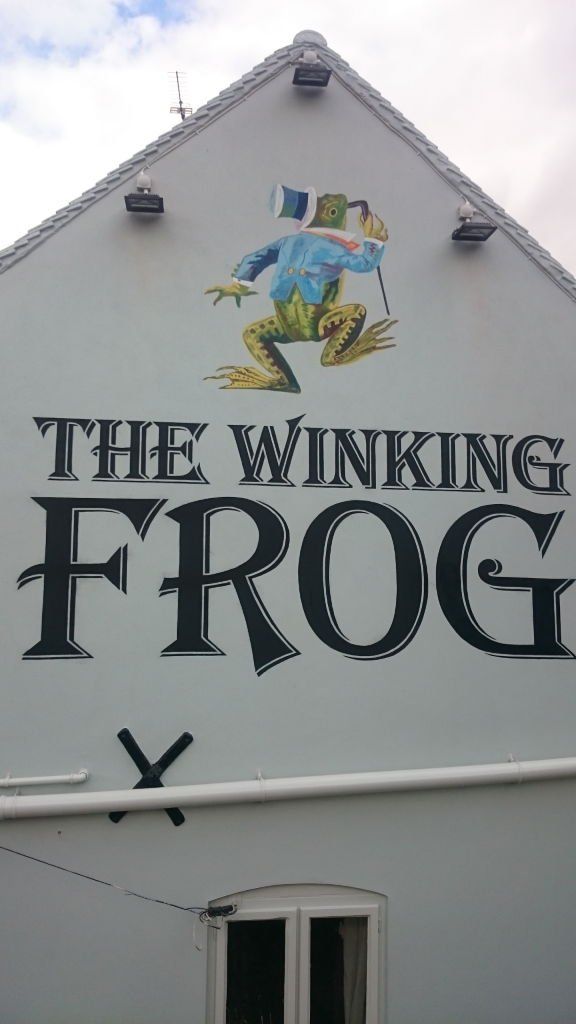 The Winking Frog