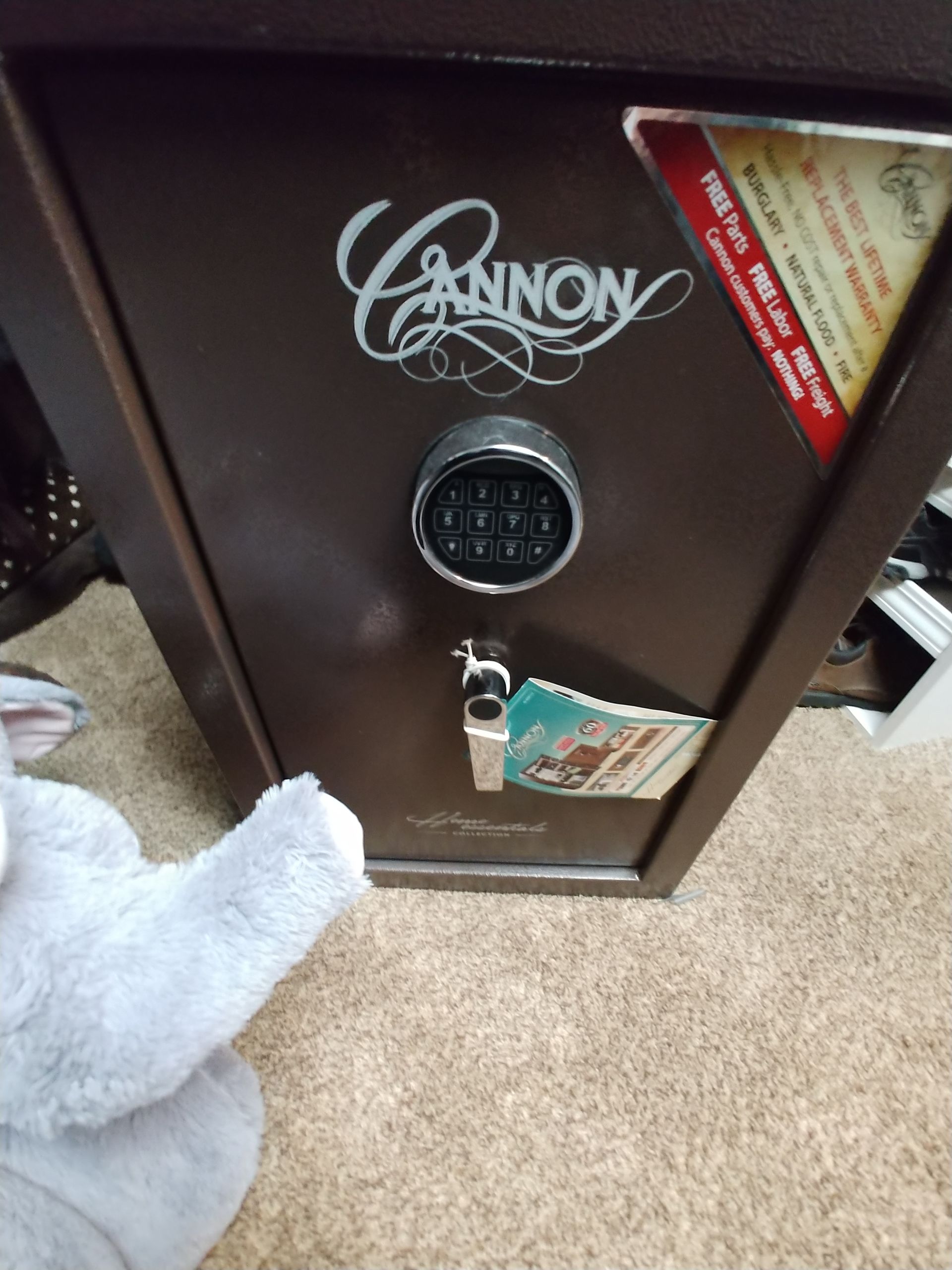 A cannon safe is sitting on the floor