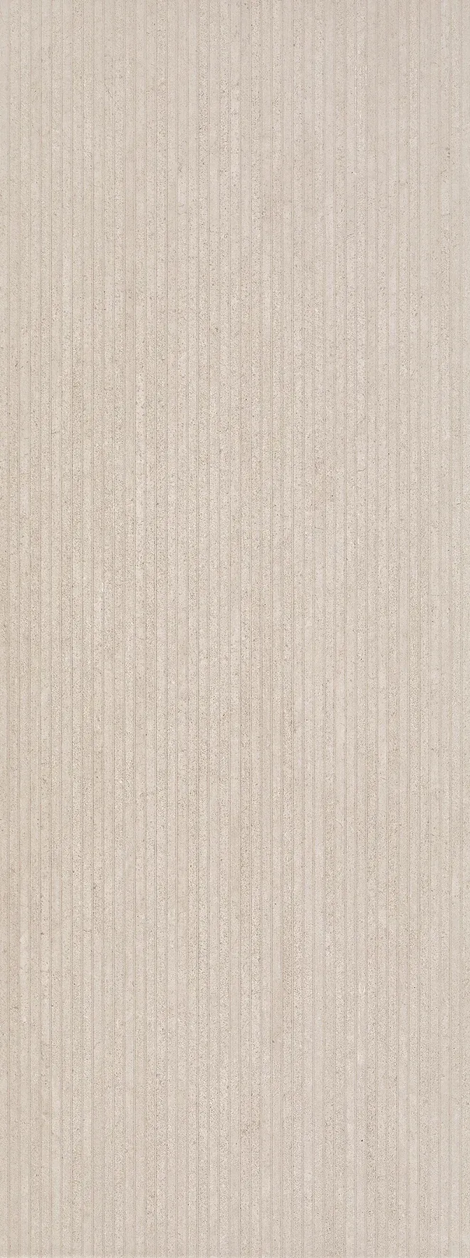 24/TTFOASIPARIDISORIPA