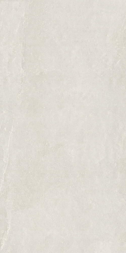 TTFCASVOGUESTONE LAP