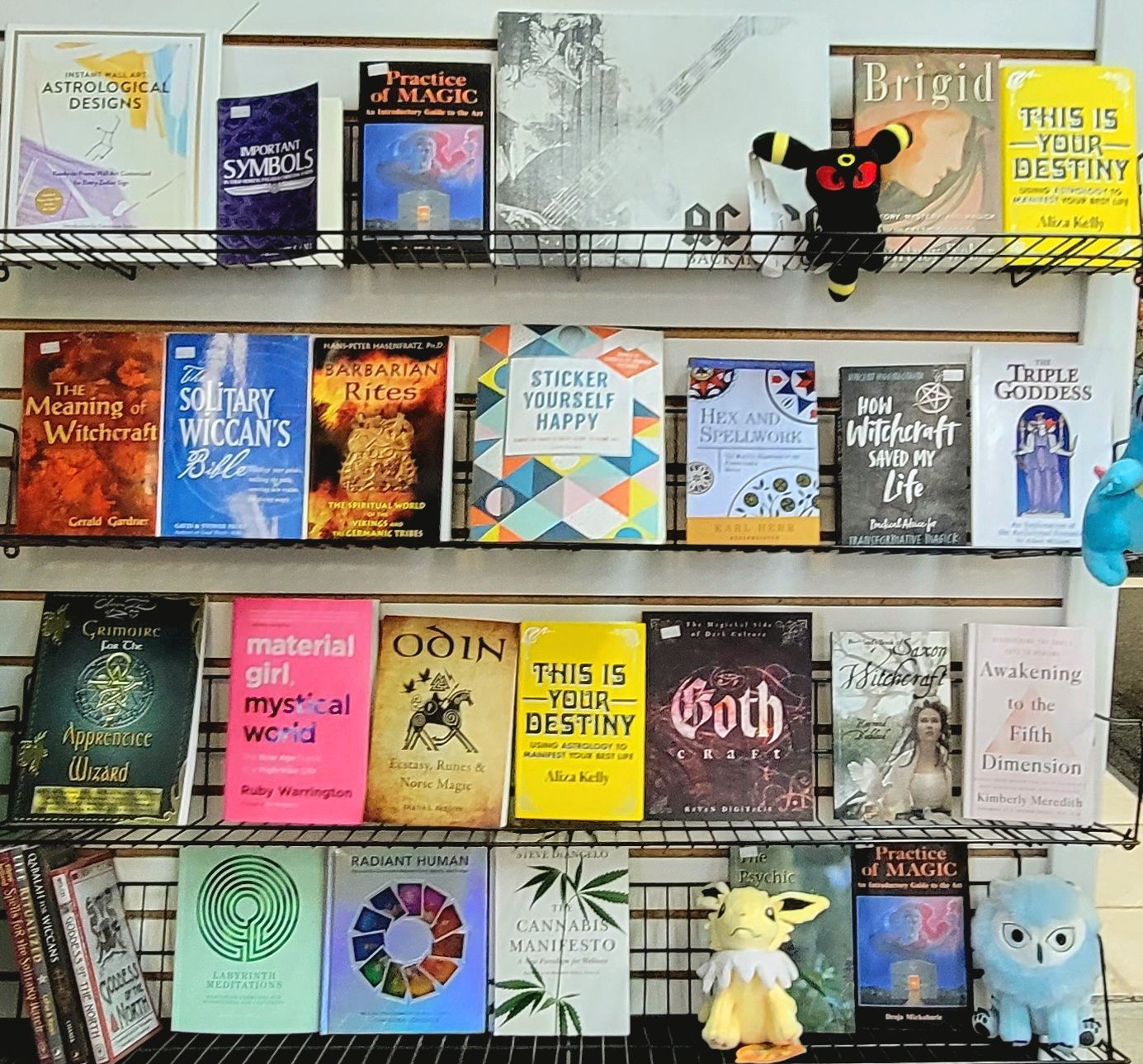 Bookshelves filled with various books, including titles on magic and spirituality, and plush toys in a store.