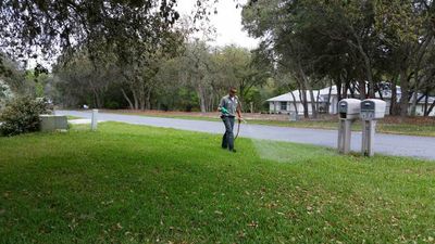 Weeding — Weeding in Lecanto, FL
